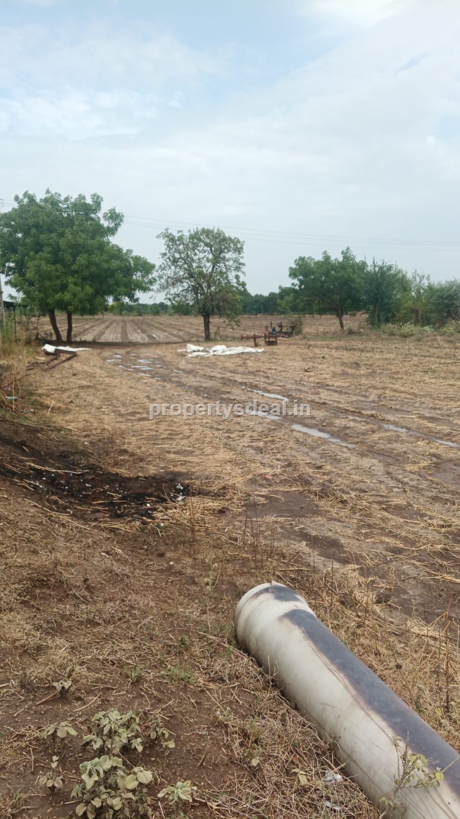 Agriculture Land For Sale In Gayapura, Vadodara